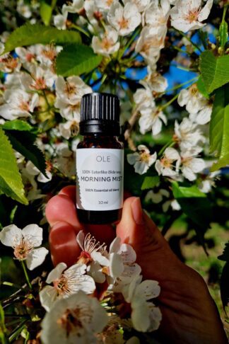 Eeterlikud õlid ja segud