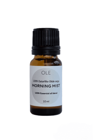 MORNING MIST eeterlike õlide segu 10 ml